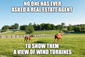 Horses in field - No one has ever asked a real estate agent to show them a view of wind turbines.