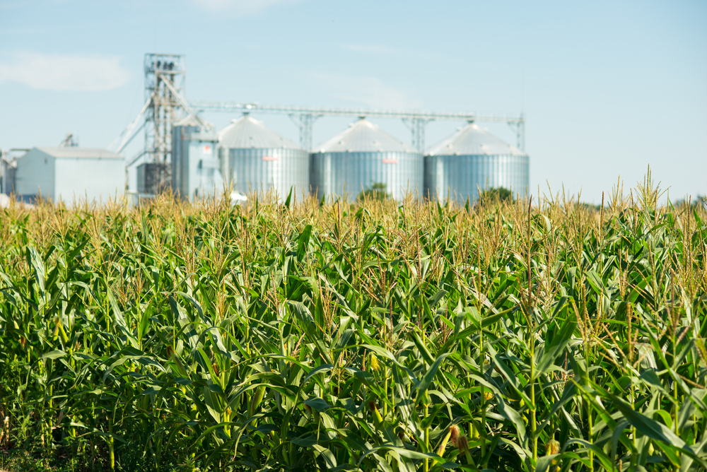 Prime Farmland Is Protected in Buchanan County